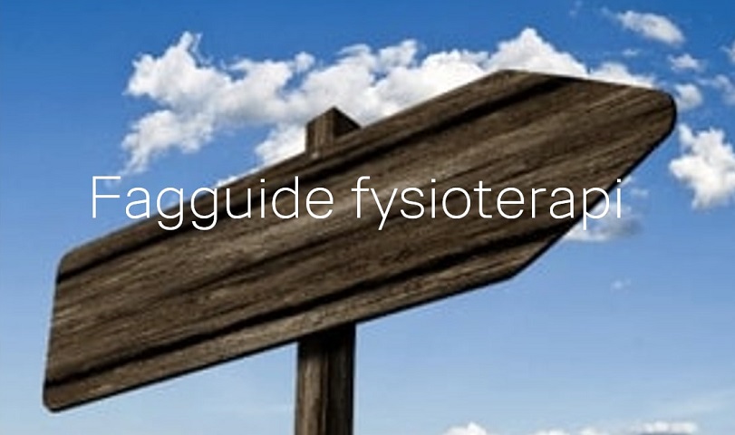 Billede med tekst 'Fagguide Fysioterapi'